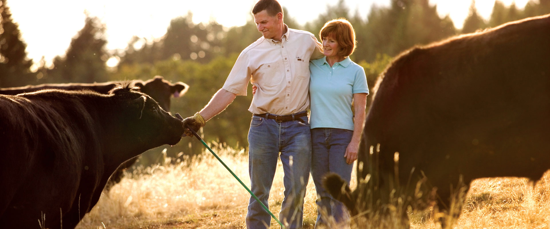 Read the story of Peter and Celia Kirchner and how they started Golden Valley Brewery & Restaurant in 1993